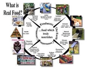 Real Food Wheel